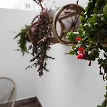 Apartamento Celta
