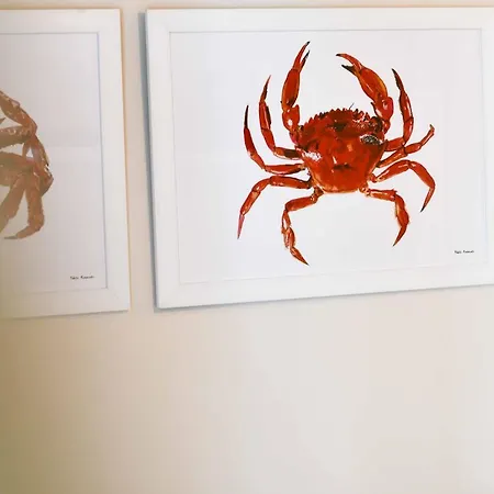 Celta Διαμέρισμα *