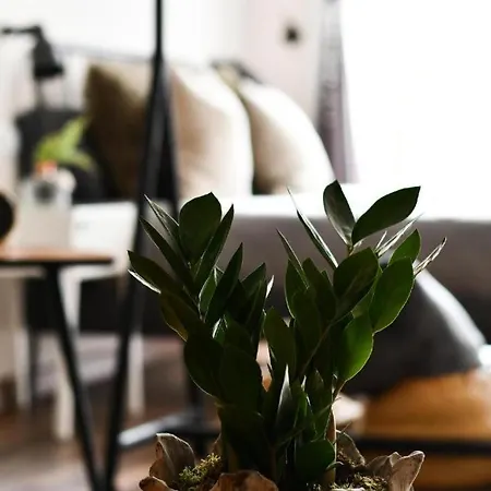 Celta 아파트 비고