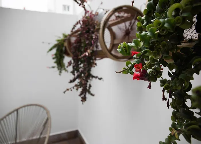 Διαμέρισμα Celta