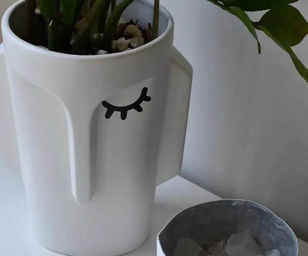 Celta Διαμέρισμα