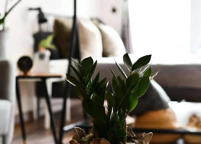 Celta Appartement Vigo